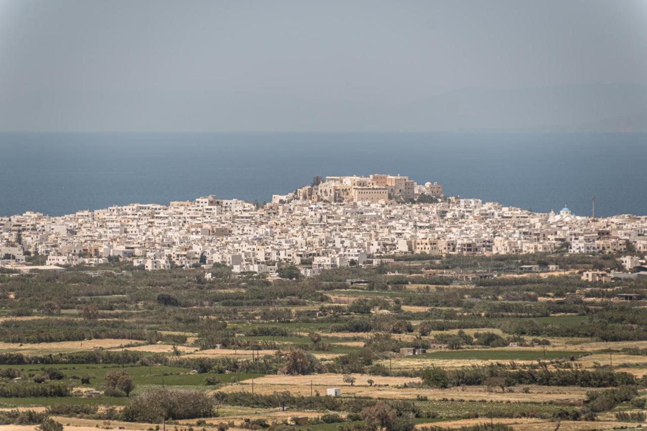 Villa Argo Γλινάδο Νάξου Εξωτερικό φωτογραφία